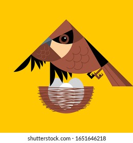 Sparrow sits on a nest with eggs on yellow background