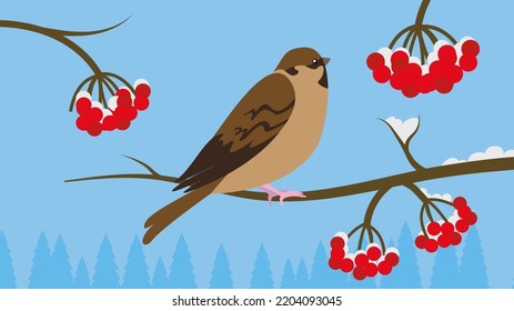 A sparrow sits on a rowan branch in the snow