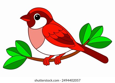 Sparrow Sitting on Branch Vector Color Illustration.