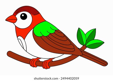 Sparrow Sitting on Branch Vector Color Illustration.