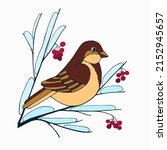Sparrow sitting on a rowan branch with berries. Vector hand-drawn image for children