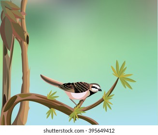 Sparrow,
 Sparrow Sitting On The Tree Branch, All elements are in separate layers colors can be changed easily
