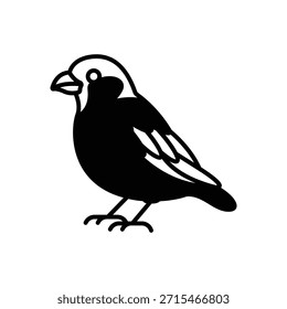 Sparrow Small Bird Fill Icon: Common Bird and City Wildlife