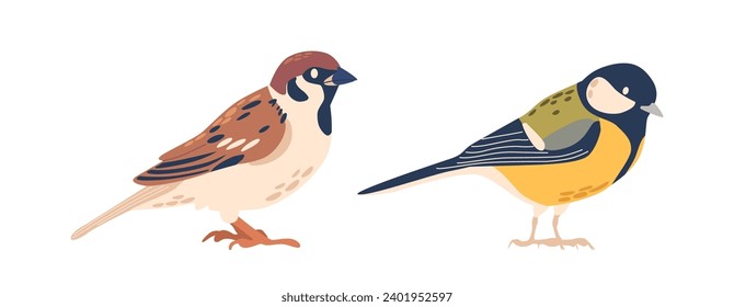 Spinrow ist ein kleiner, brauner Vogel mit Stout Körper und konischer Beak, Chickadee hat eine besondere schwarze Kappe, weiße Wangen