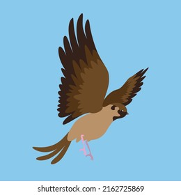 Sparrow spread its wings in flight