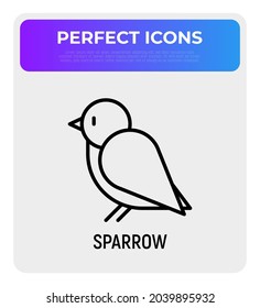 Sparrow thin line icon. Modern vector illustration of bird.