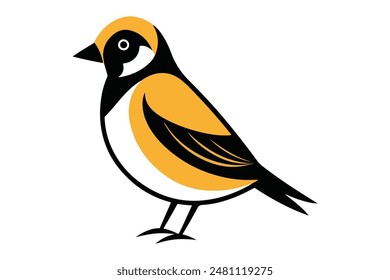 Sparrow Vector Collection with colorful