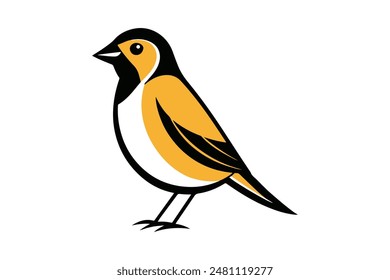 Sparrow Vector Collection with colorful