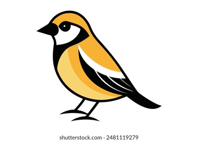 Sparrow Vector Collection with colorful