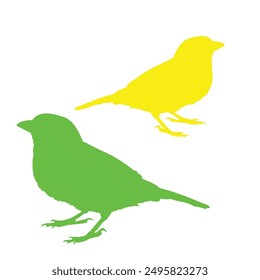 diseño de Vector de gorrión con colores brillantes y fondo blanco