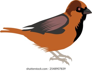 Ilustración de diseño de Vector de gorrión Diseño gráfico limpio de alta calidad