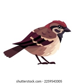 Ilustración plana vectorial de espárrago aislada en fondo blanco. personaje de caricatura de pájaro.