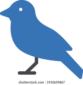 sparrow vector glyph color icon