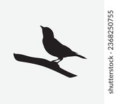 Sparrow vector image clip art