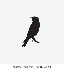 Sparrow vector image clip art
