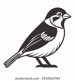 Sparrow vector line art on white background