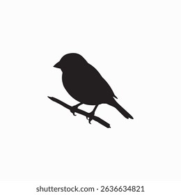 Sparrow Wild Or Pet Bird Image