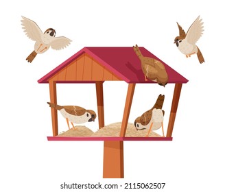Sparrows in birdhouse. Chirp birds characters flying and eating crumbs in birdhouse exact vector cartoon background