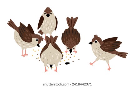 Sparrows eat seeds. Collection of cute birds on white background vector illustration of sparrow animal and seeds, cartoon bird cute eating
