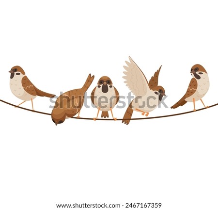 Flock of birds sitting over green salty lagoon