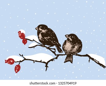 Sparrows sit on branches in a winter day