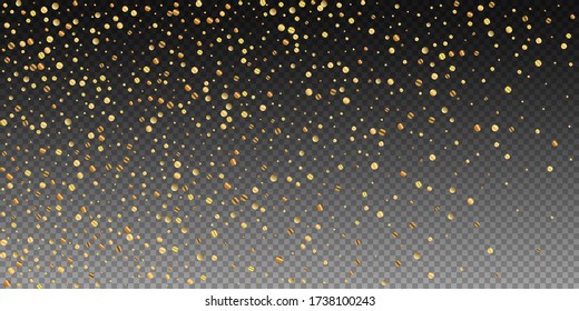 Sparse gold confetti luxury sparkling confetti. Scattered small gold particles on transparent background. Captivating festive overlay template. Exotic vector illustration.