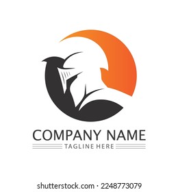 spartan and gladiator logo icon designs vector