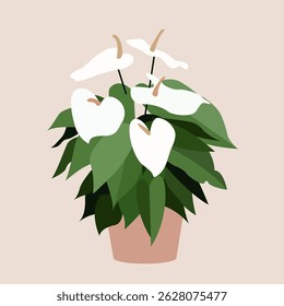 Spathiphilum indoor plant potted flowers isolated on beige background design element
