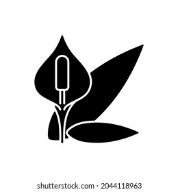 Spathiphyllum black glyph icon. Peace lily. Seasonal flower, pollen allergy. Houseplant bloom. Common allergen. Flowering plant. Silhouette symbol on white space. Vector isolated illustration