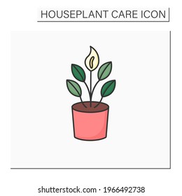 Spathiphyllum color icon. Home gardening. Tropical plant interior decor. Beautiful home plant in pot. Houseplant care concept.Isolated vector illustration