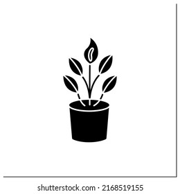 Spathiphyllum glyph icon. Home gardening. Tropical plant interior decor. Beautiful home plant in pot. Houseplant care concept.Filled flat sign. Isolated silhouette vector illustration