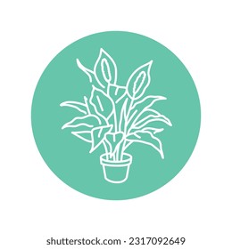 Spathiphyllum houseplant black line icon. Indoor decorative plant. Pictogram for web page, mobile app, promo.