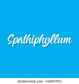 spathiphyllum, text design. Vector calligraphy. Typography poster. Usable as background.