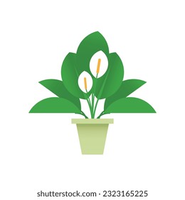 Ilustración vectorial de espátifilo, icono plano de espatifilo