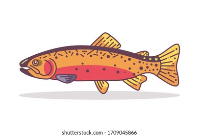 Spawning cutthroat Trout  fish design Illustration vector art