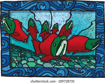 Spawning Salmon. A depiction of Sockeye Salmon swimming in a river.