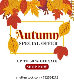 Special Autumn offer, up to 50% off sale vector banner