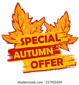 special autumn offer banner - text in orange and brown drawn label with leaf signs, business seasonal shopping concept, vector