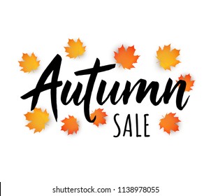 Special autumn sale banner. Vector illustration with autumn leaves. Poster with fall and hand drawn lettering