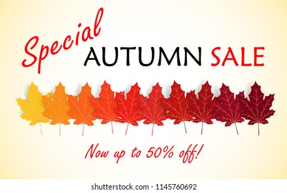 Special Big Autumn fall sale, Can be used for tag price, banners or posters background.