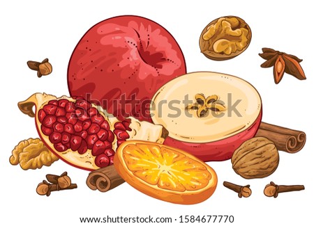 Special collection of winter spices vector illustration. Group of star anise, walnut, apple, orange, cinnamon rolls, cloves and pomegranate. Hand drawn isolated on white background. Hot drink spices. 
