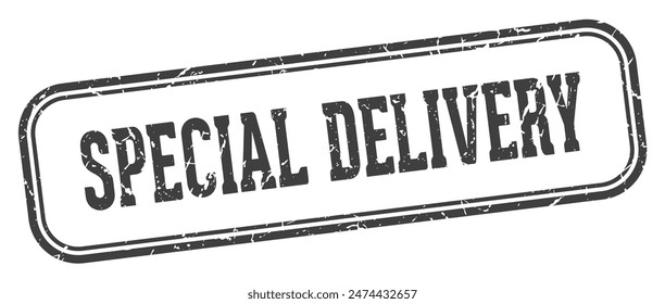 special delivery stamp. special delivery rectangular stamp isolated on white background