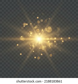 Special effect - shining star sun particles and sparks. Glitter and sequins bokeh lights isolated on transparent background. EPS 10