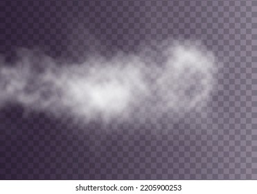 Special effect of steam, smoke, fog, clouds. Abstract gas on transparent background, vapor machine steam or explosion dust, dry ice effect, condensation, fume. Vector illustration.