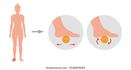 Ejercicio especial para problemas de deformación de alimentos. Ortopedista Pie terapéutico y fortalecedor con pelota de tenis