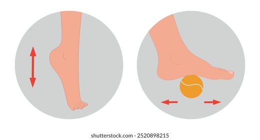 Special exercise for food deformation problem. Orthopedist Therapeutic and strengthening foot with tennis ball and up and down movements