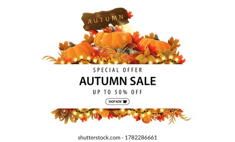 Special offer, autumn sale, up to 50% off, white discount banner with frame of autumn leaves and autumn elements. Layout of a border made of autumn vegetation for web banner