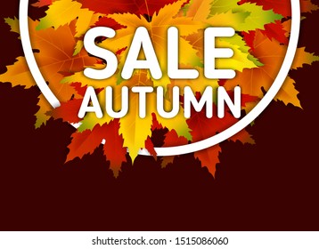 Special Offer Autumn Sale Background Template, with falling bunch of leaves, shopping sale or seasonal poster for shopping discount promotion, Postcard and Invitation card. Vector illustration Voucher