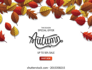 Special Offer Autumn Sale Banner Template With Leaves And White Background