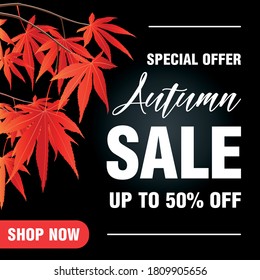 Special offer autumn sale. Autumn sale design with 50% discount. Autumn sale banner. Poster, flyer. Vector illustration
